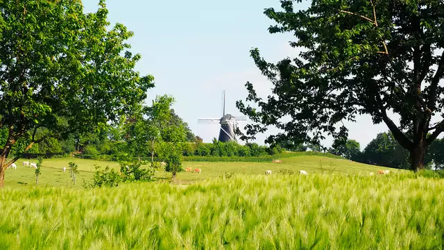 Détente, shopping et dîner près de l'agréable Roermond