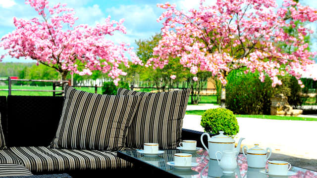 Domaine Chateau du Faucon