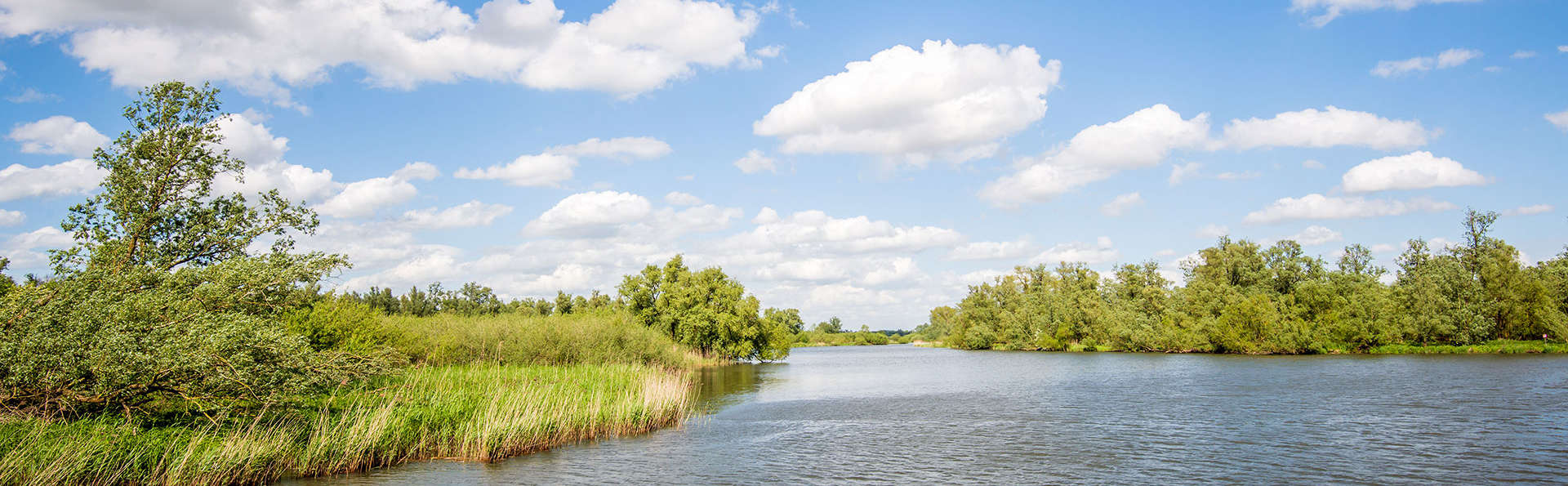 Vincents - edit_breda3.jpg