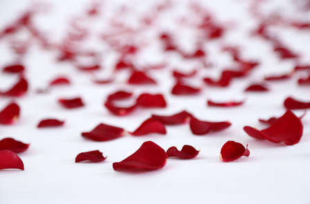 Week-end avec cadeaux romantiques à Vilafranca del Penedès