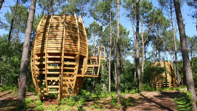 Escapada en una cabana en un arbol en el corazon del parque regional de Gascogne