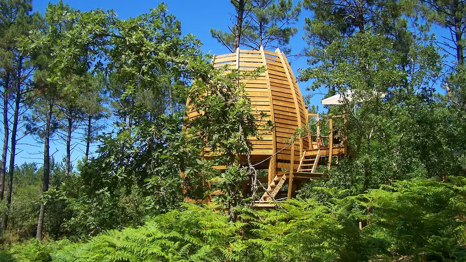Escapada en una cabana en un arbol en el corazon del parque regional de Gascogne