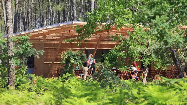 Escapada en una cabana en un arbol en el corazon del parque regional de Gascogne