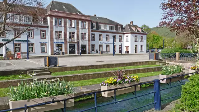 Ontdek de Elzas met de Pass'Alsace en een regionaal diner.