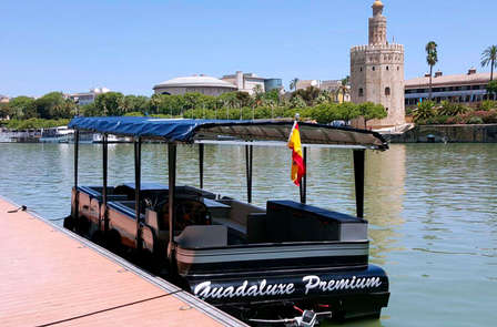 Visite de la magnifique ville de Séville en navigant sur le Guadalquivir