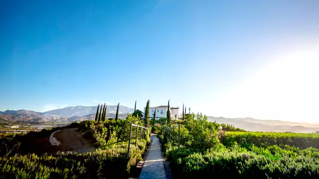 Geniet van deze indrukwekkende Andalusische boerderij in een superior kamer met welkomstchampagne