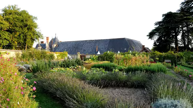 Séjour dans un monument historique avec visite de la cave de Vouvray