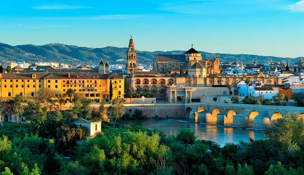 Studio met ontbijt en parking in Cordoba