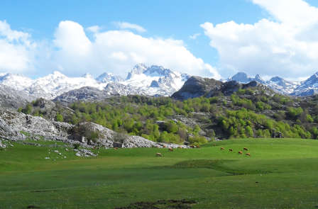 Ontdek het nationale Park van de Picos van Europa met proeverij en bezoek aan de wijngaard
