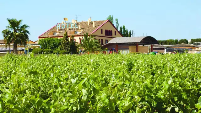 Cena "Penedés tasta'l", degustazione di vini presso la cantina e museo del cioccolato