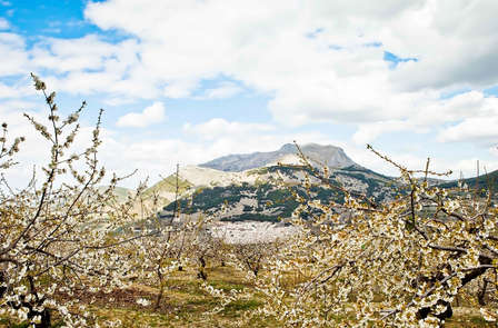 Rust en ontspanning in het hart van de Sierra Mágina