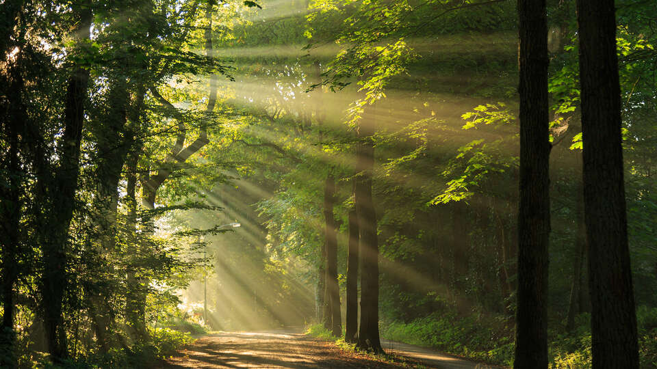 Sfeervol hotel omringd door de prachtige natuur van Veenhuizen