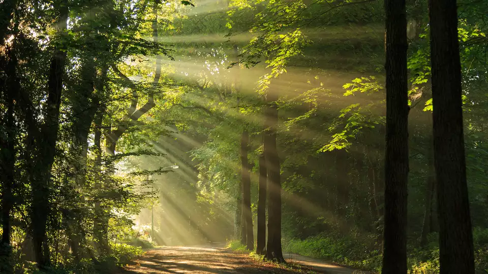 Sfeervol hotel omringd door de prachtige natuur van Veenhuizen