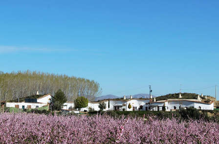 Escapada en cueva típica con acceso al Hammam o Baños Árabes (desde 2 noches)