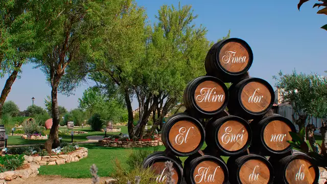 Escapade avec dégustation de vins au cœur de la Castille-La Manche