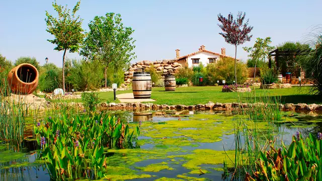 Escapada gastronómica con menú manchego en una finca a los pies de la Ruta del Quijote