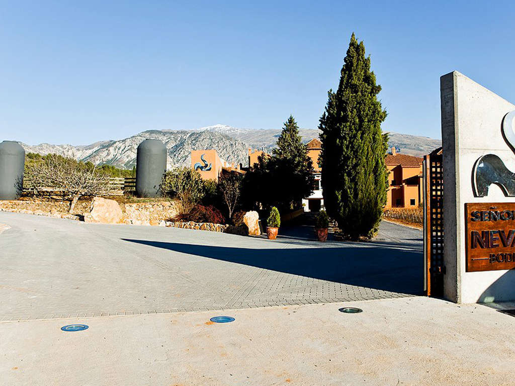 ÉVasion à Grenade avec visite d'une cave à vin et dégustation de vins - 4* - 5
