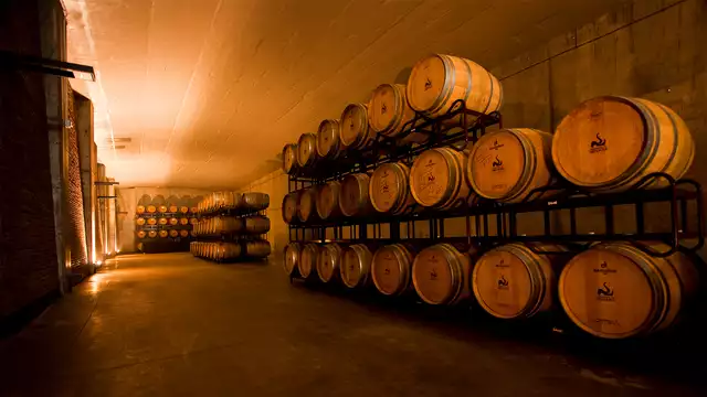 Escapate a unos pasos de Granada con visita a bodega y degustacion de vinos