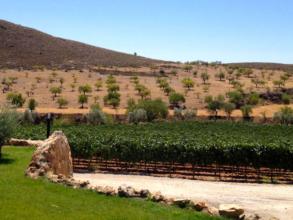 ÉVasion à Grenade avec visite d'une cave à vin et dégustation de vins - 4* - 10