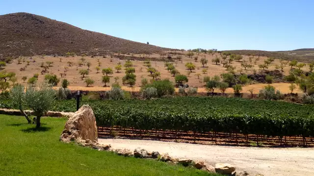 Escapade romantique à Grenade avec dîner, bouteille de cava et fraises au chocolat