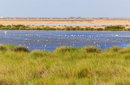 Romantisch uitje in de buurt van het Nationaal Park Doñana