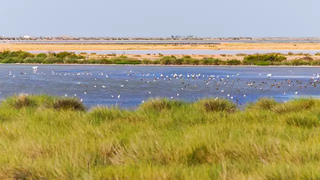 Escapada con encanto cerca del Parque Natural de Doñana