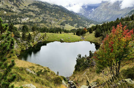 Escapade aux Viñas de Somontano avec bouteille de cava, cadeau gourmand et petit-déjeuner inclus