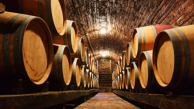 Descubre las tierras del Quijote con visita a una bodega en el Toboso