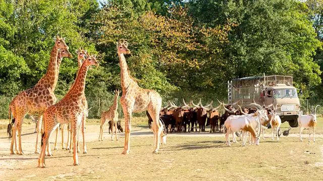 Weekend en studio avec entrées au parc animalier Planète Sauvage