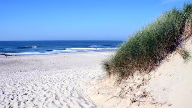 Romantisme et nature magnifique sur l'île d'Ameland