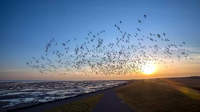 Week-end culinaire sur l'île des Wadden d'Ameland