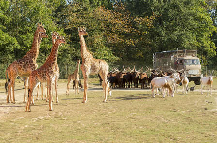 In familie naar Nantes en op safari in Planète Sauvage