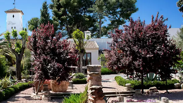 Disfruta de una escapada en una finca rural con piscina exterior y spa