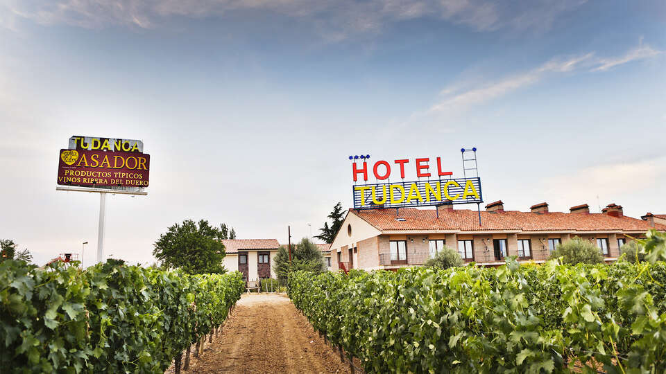 Plongez entre les vignobles d Aranda de Duero avec diner a partir de nuits