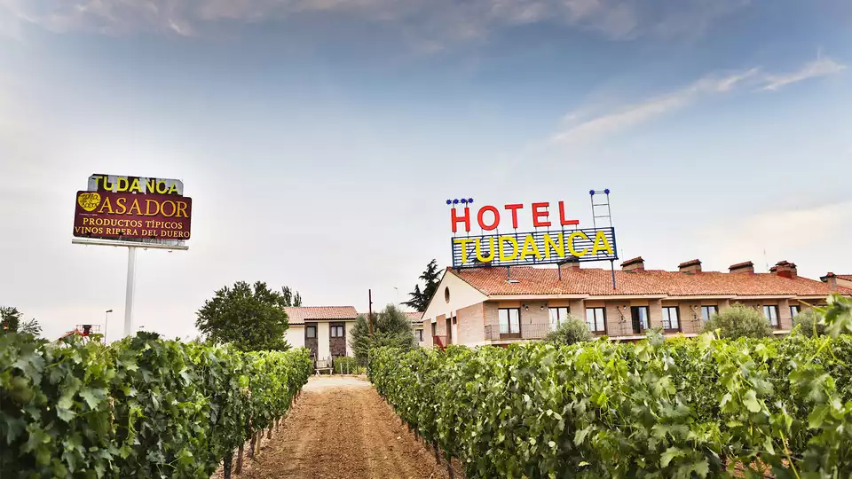 Plongez entre les vignobles d Aranda de Duero avec diner a partir de nuits