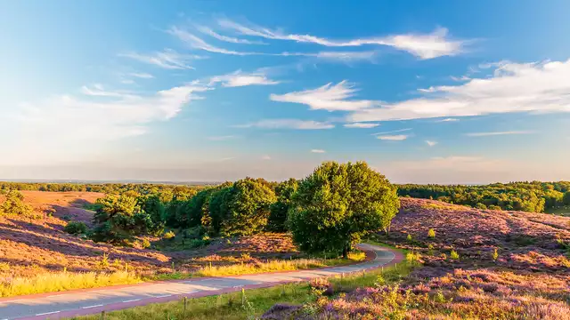 Tranquillità, natura e relax nei boschi di Veluwe con colazione inclusa
