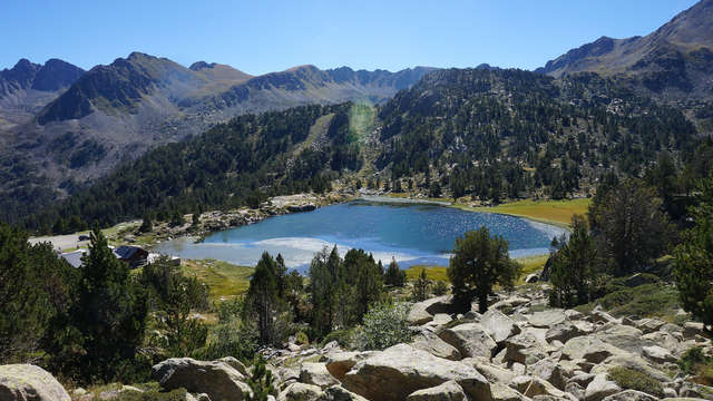 Hotel Montane