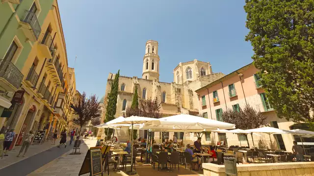Escapada en Alt Empordà con visita y cata de vinos en Celler La Vinyeta en Peralada