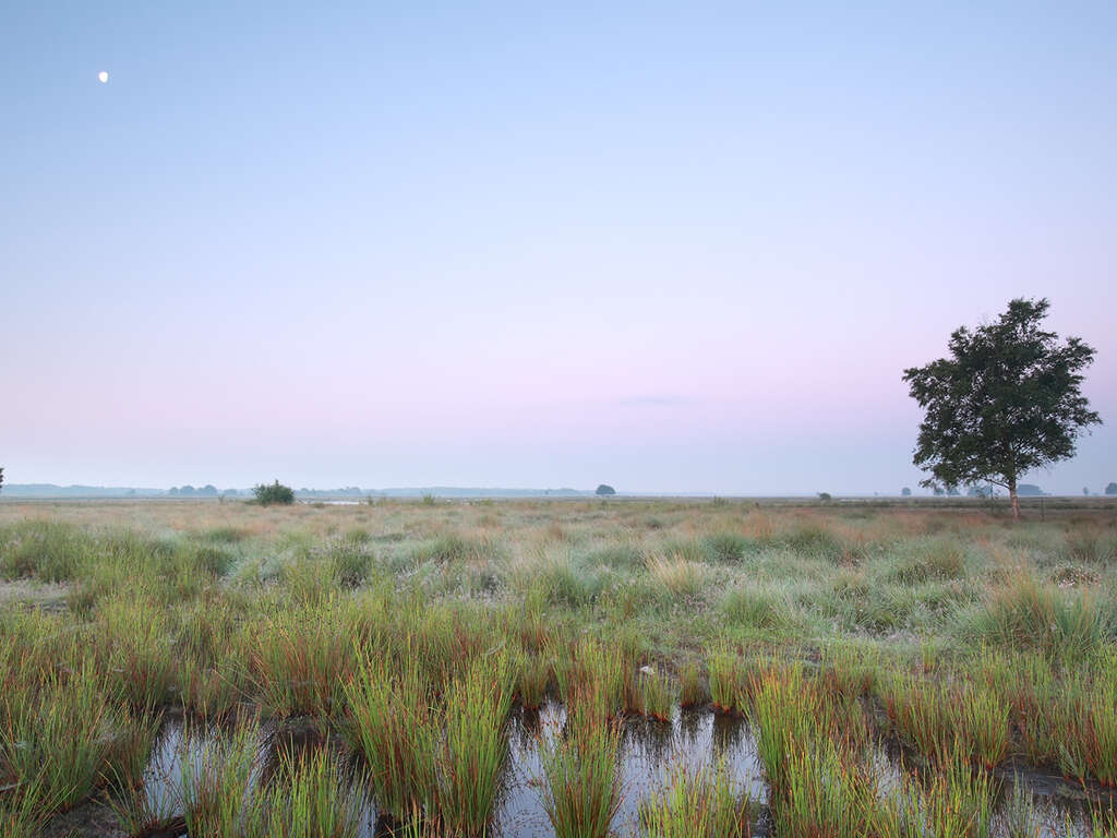 Détendez-vous dans un hôtel de campagne situé dans la magnifique campagne de Drenthe. - 4* - 11