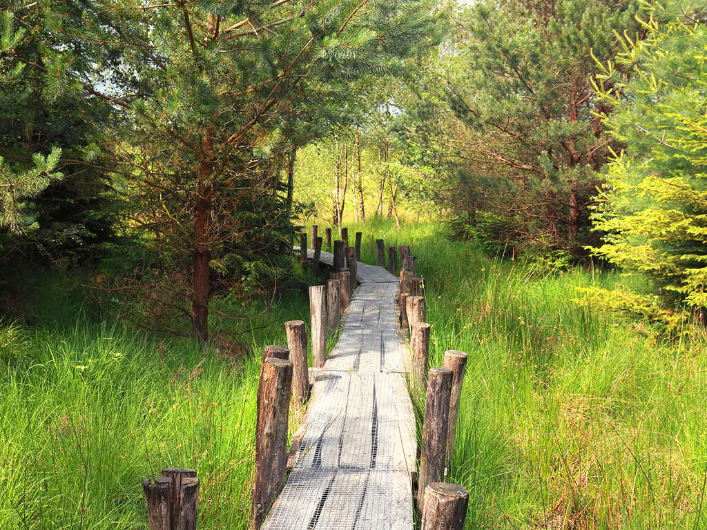 Détendez-vous dans un hôtel de campagne situé dans la magnifique campagne de Drenthe. - 4* - 9