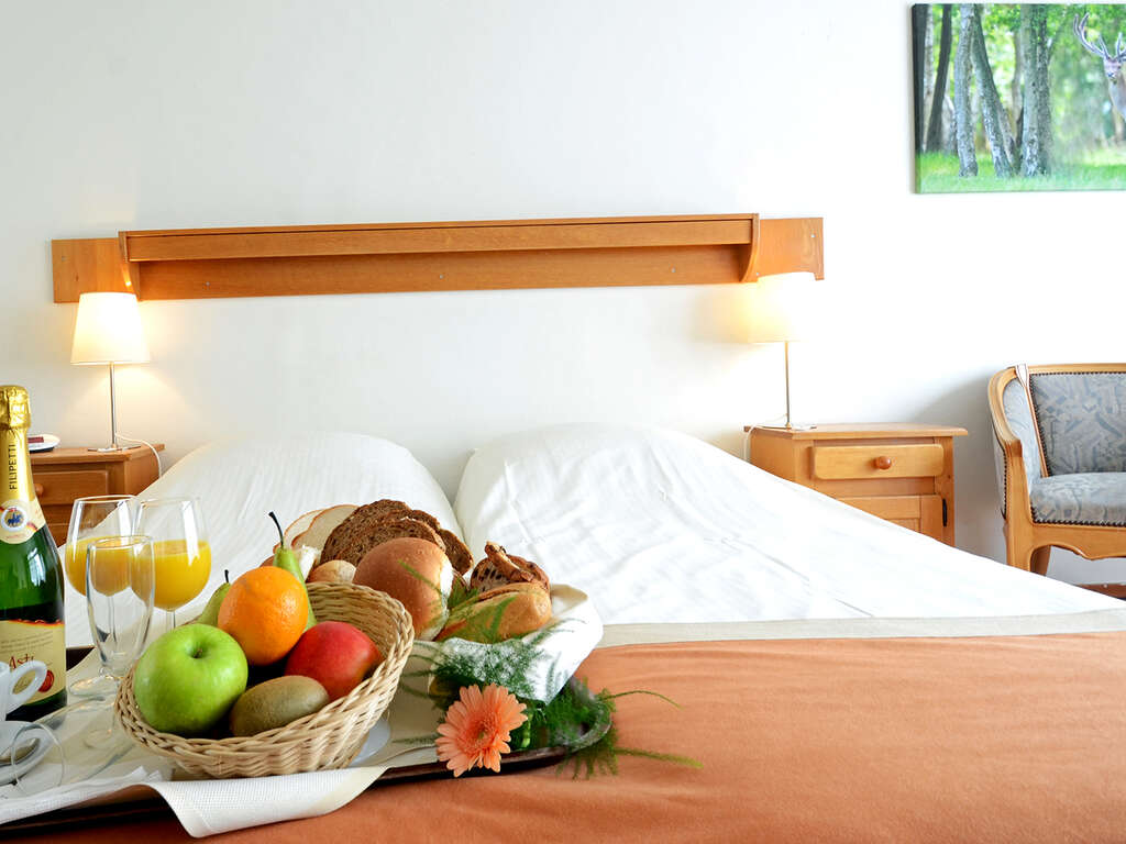 Détendez-vous dans un hôtel de campagne situé dans la magnifique campagne de Drenthe. - 4* - 14