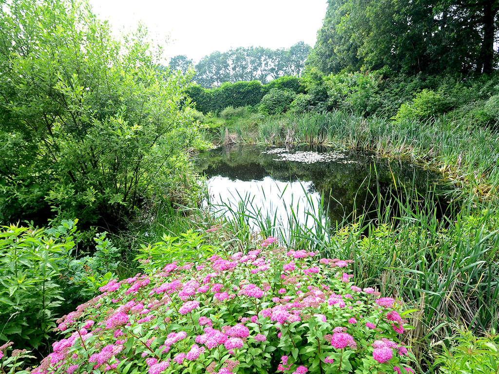 Détendez-vous dans un hôtel de campagne situé dans la magnifique campagne de Drenthe. - 4* - 10