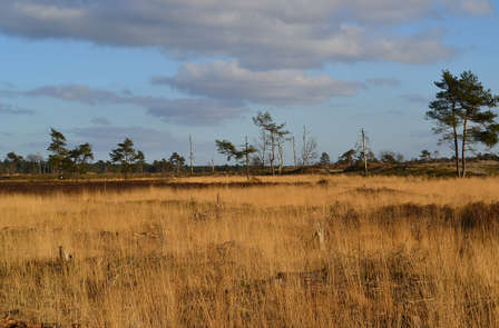 Op de fiets door natuurgebieden vlak bij 's Hertogenbosch