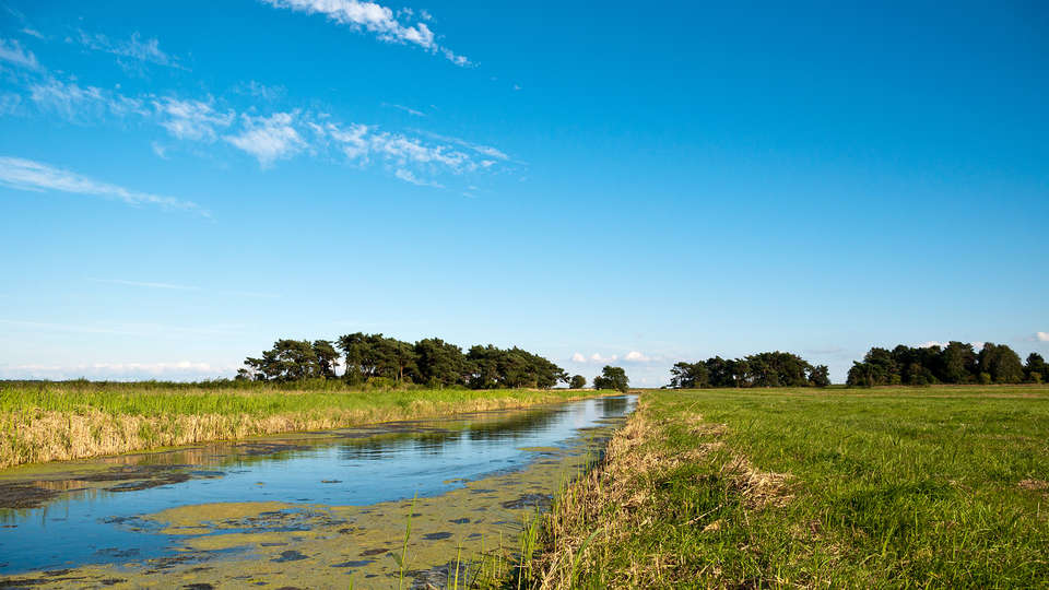 Beach Hotel de Vigilante - EDIT_friesland.jpg
