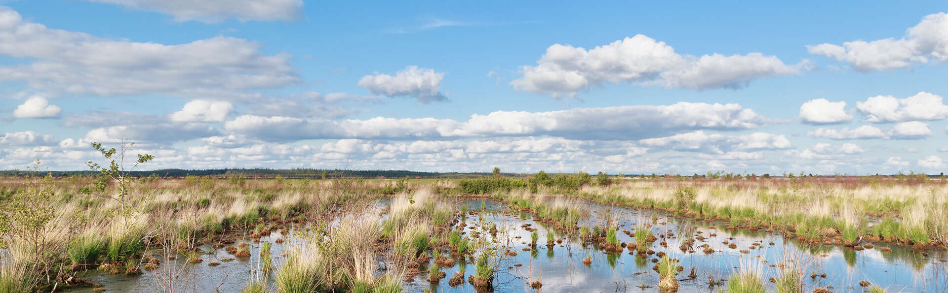 Tijdens de herfst genieten van gastvrijheid aan het IJsselmeer (vanaf 2 nachten)