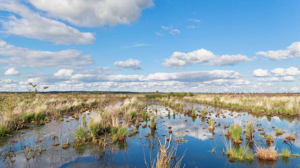 Beach Hotel de Vigilante - EDIT_friesland2.jpg
