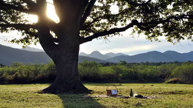 Gezinsvakantie in een driepersoonskamer met diner en picknickmand in Despeñaperros (vanaf 2 nachten)