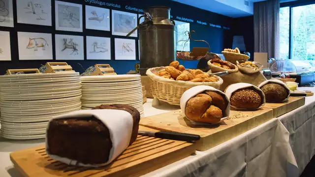Lujo de 5 estrellas y un delicioso desayuno en la naturaleza de Veluwe.