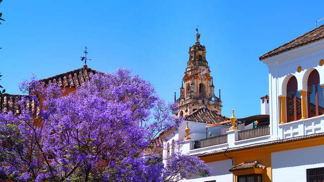Hotel El Mirador de Rute inactive