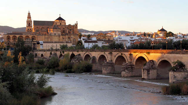Descubre los encantos de la ciudad y visita los patios más emblemáticos de Córdoba